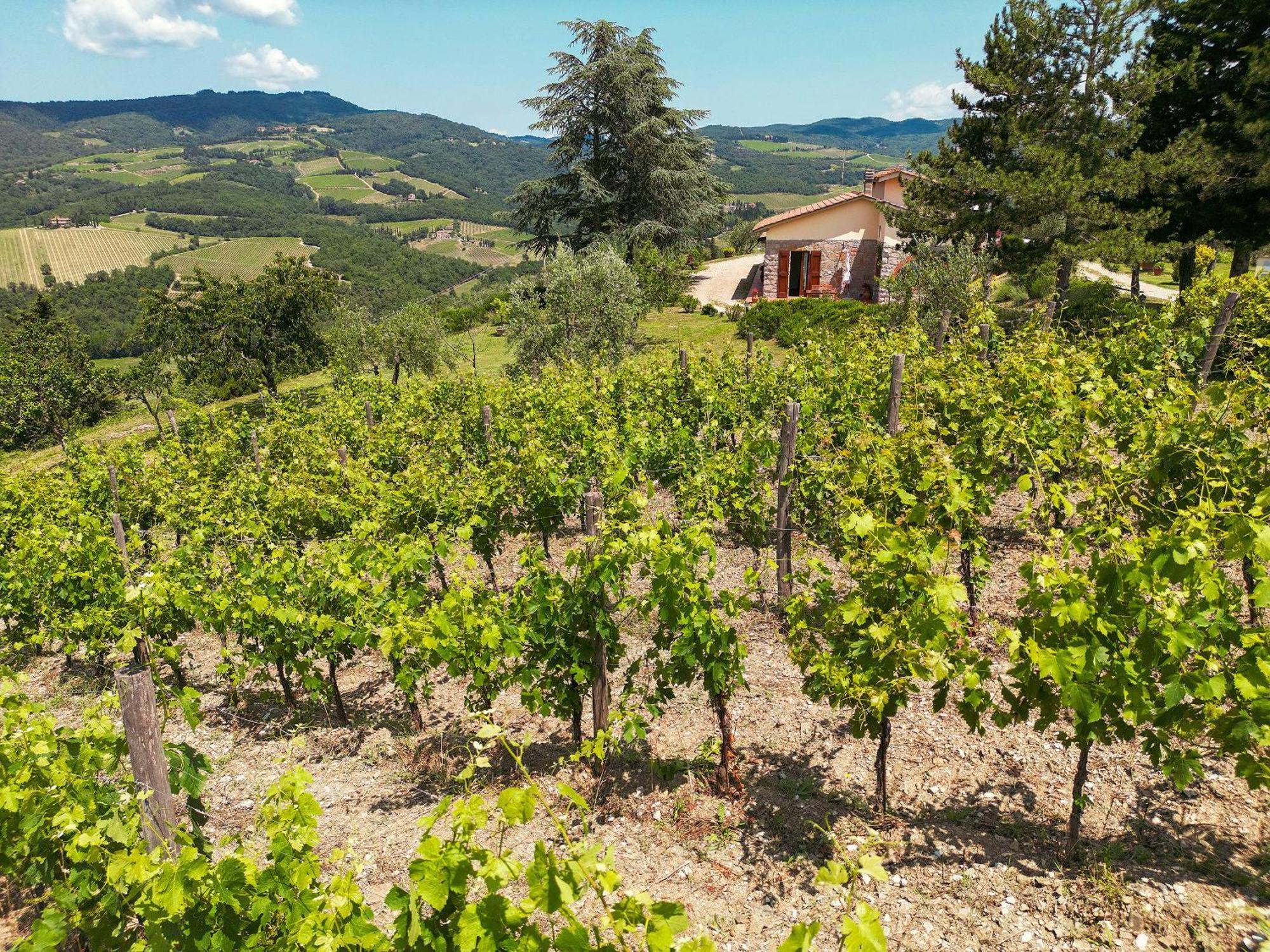 Tenuta Il Poggetto Radda in Chianti Exterior foto